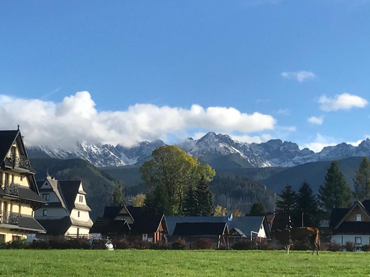 Camping Zakopane Willa Skoczek Oferta Nie Dotyczy Noclegu W Pokoju ,W Namiocie Reczniki Woda Mineralna , Koldra Poduszki Lub Spiwory Buitenkant foto