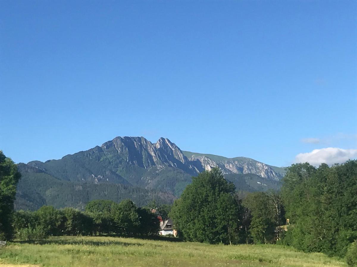 Camping Zakopane Willa Skoczek Oferta Nie Dotyczy Noclegu W Pokoju ,W Namiocie Reczniki Woda Mineralna , Koldra Poduszki Lub Spiwory Buitenkant foto