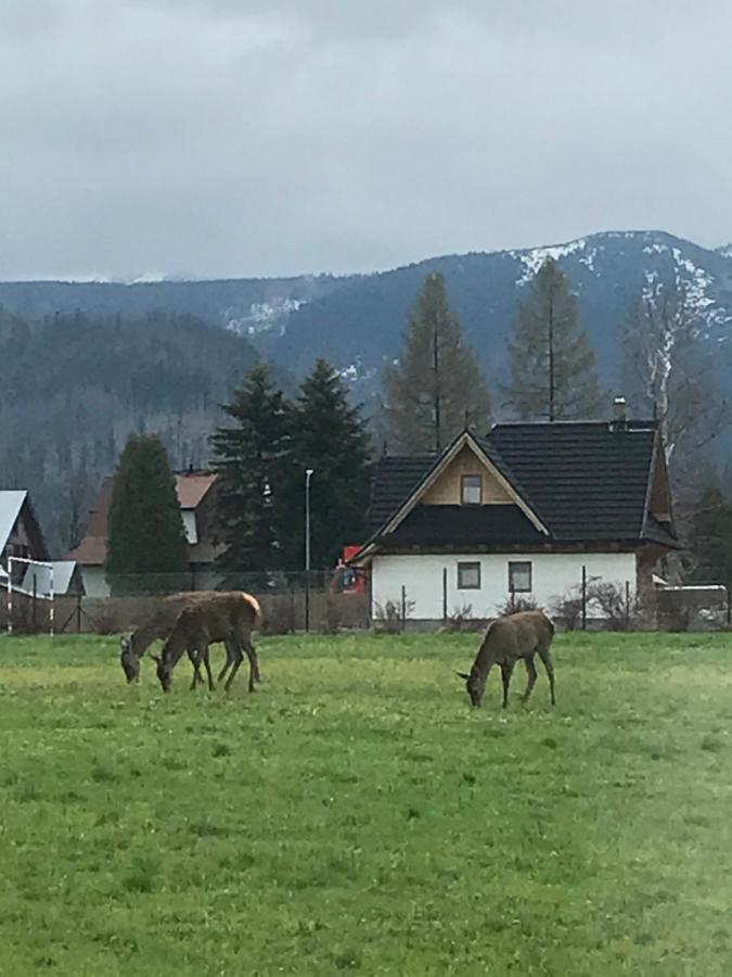 Camping Zakopane Willa Skoczek Oferta Nie Dotyczy Noclegu W Pokoju ,W Namiocie Reczniki Woda Mineralna , Koldra Poduszki Lub Spiwory Buitenkant foto