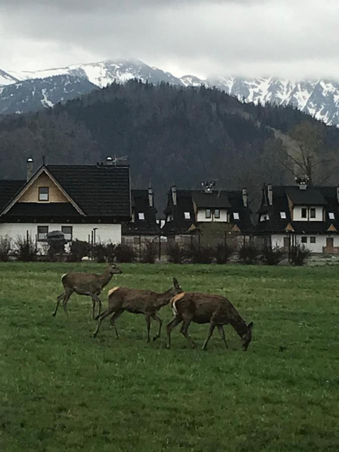 Camping Zakopane Willa Skoczek Oferta Nie Dotyczy Noclegu W Pokoju ,W Namiocie Reczniki Woda Mineralna , Koldra Poduszki Lub Spiwory Buitenkant foto